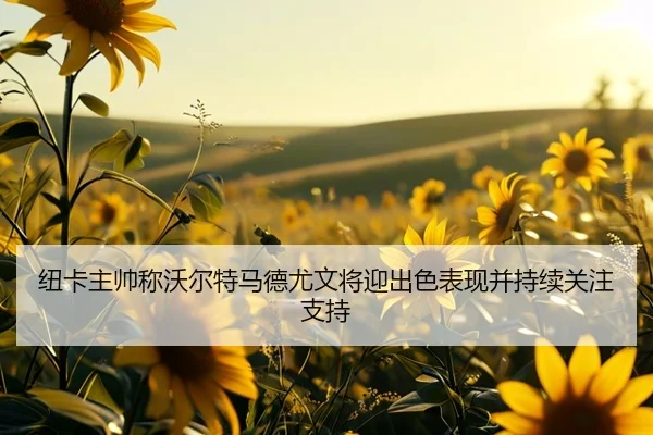 纽卡主帅称沃尔特马德尤文将迎出色表现并持续关注支持